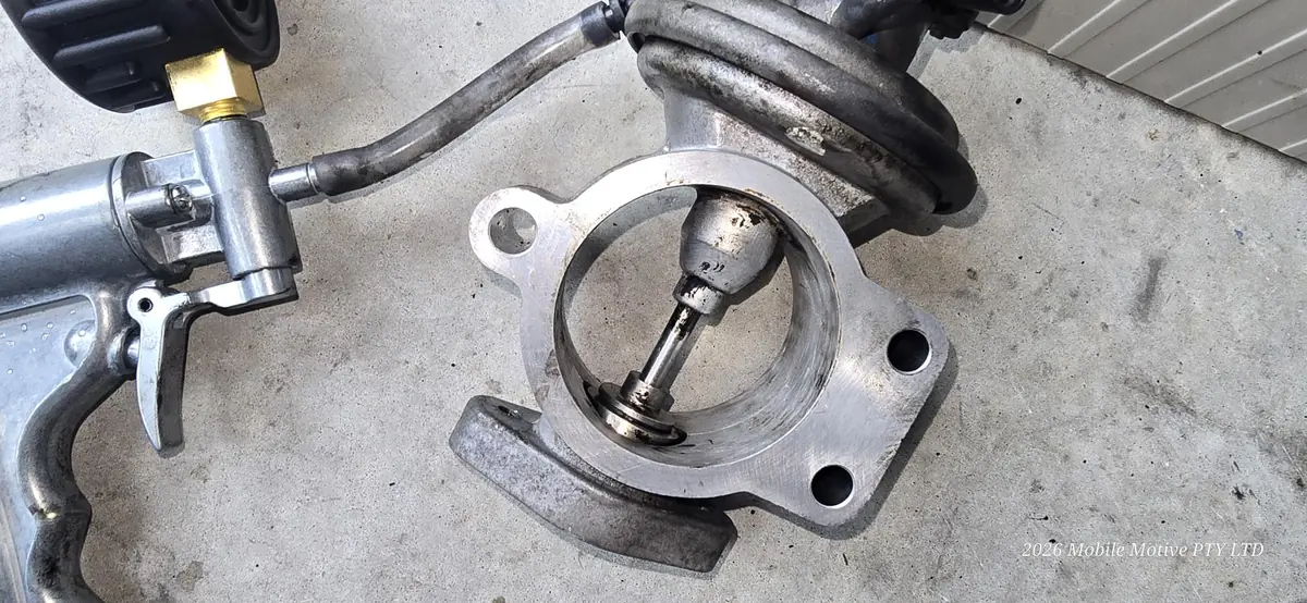 Throttle and intake component inspection